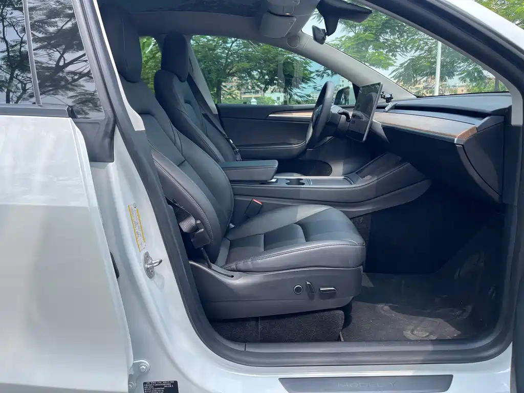 Tesla Model Y — фото 10