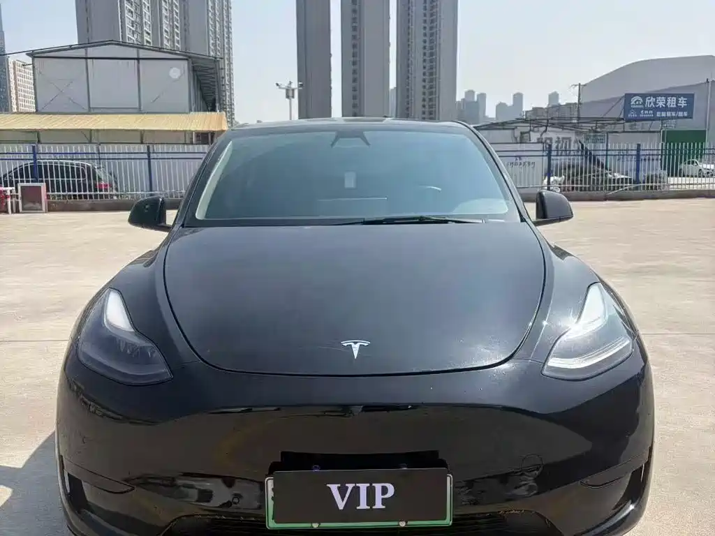 Tesla Model Y — фото 2