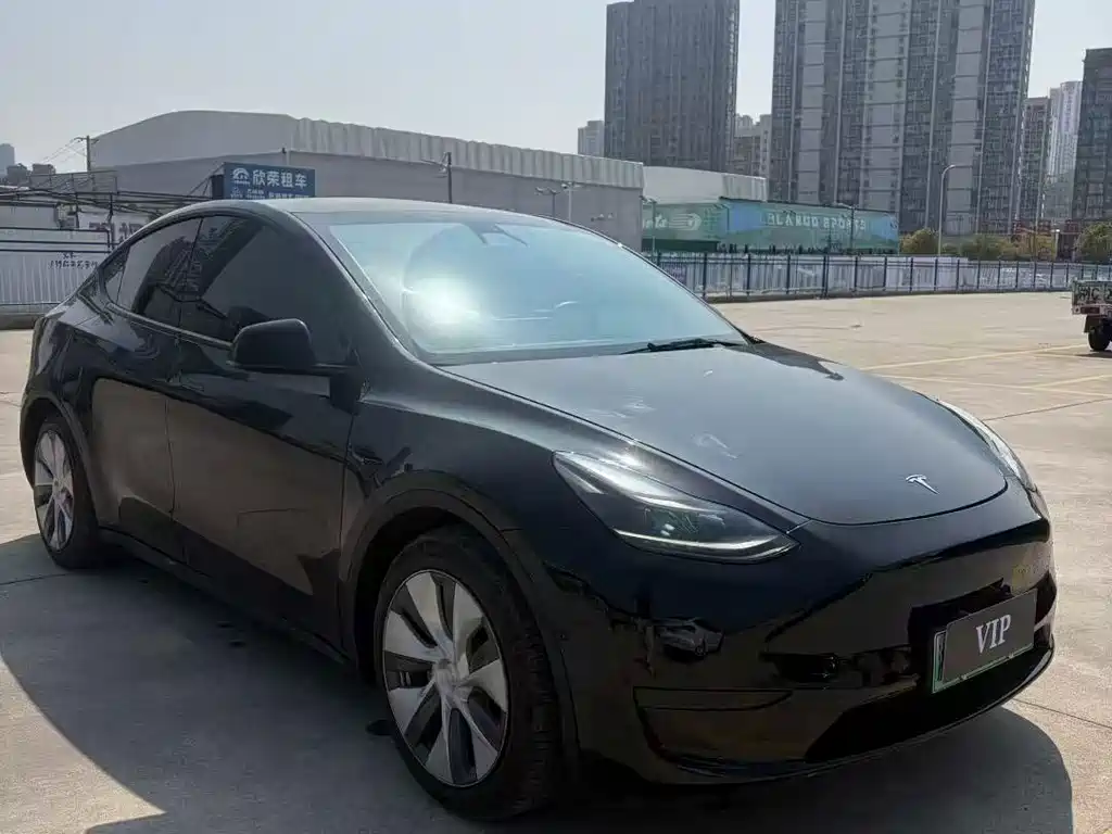 Tesla Model Y — фото 3