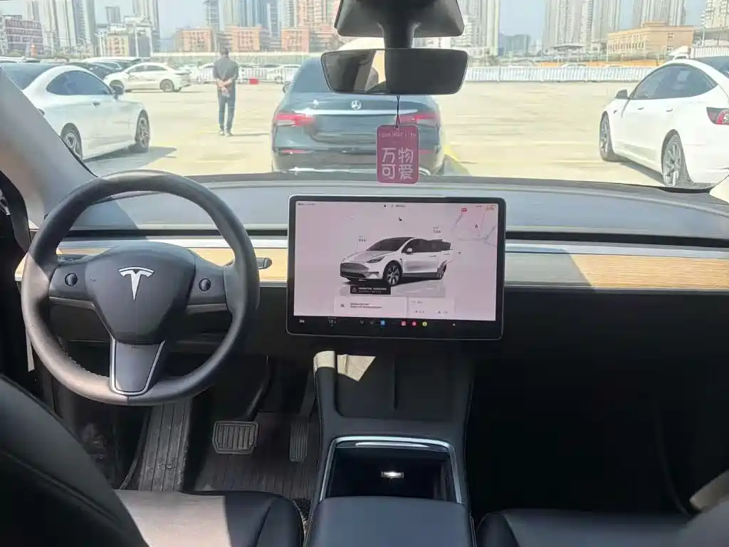 Tesla Model Y — фото 6