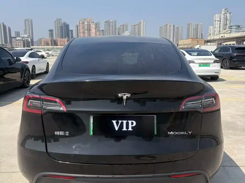 Tesla Model Y — фото 7