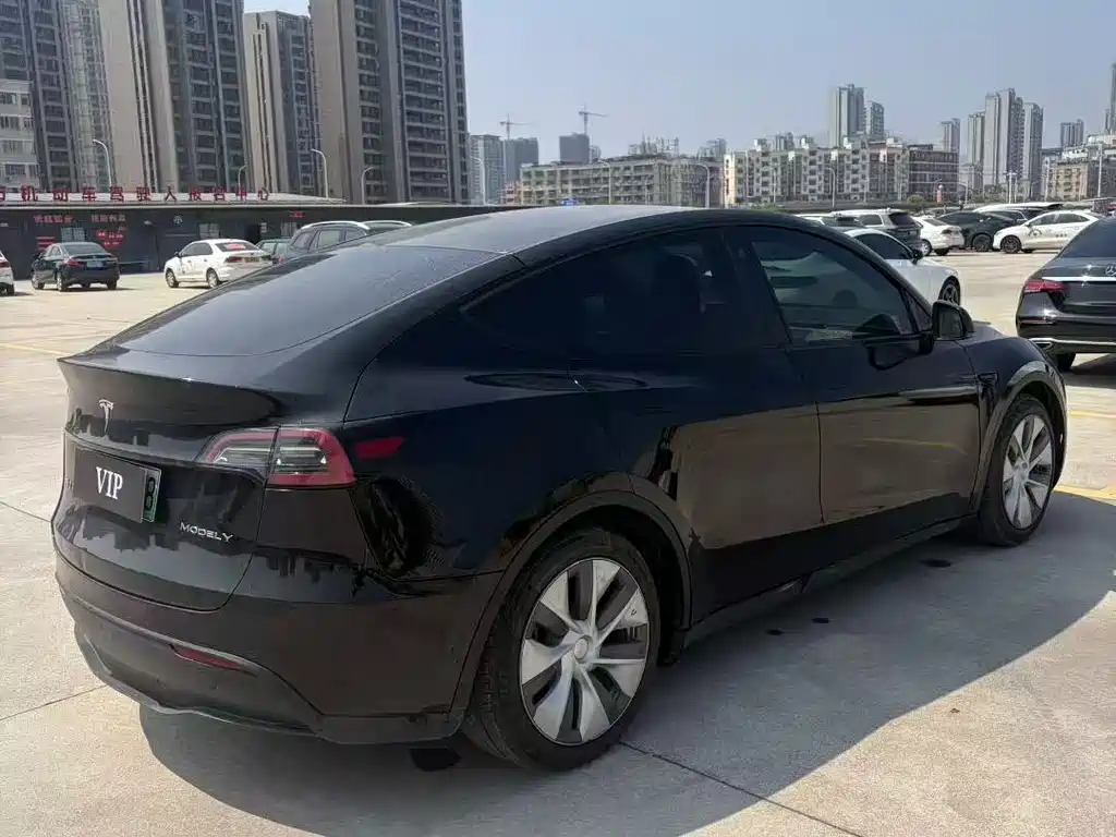 Tesla Model Y — фото 9