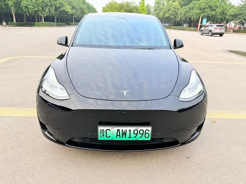 Tesla Model Y — фото 2