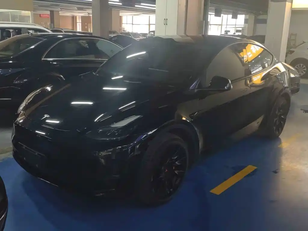 Tesla Model Y — фото 2