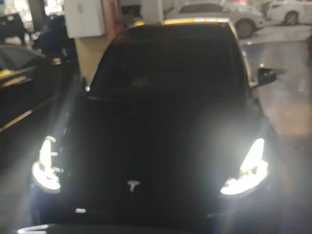 Tesla Model Y — фото 3