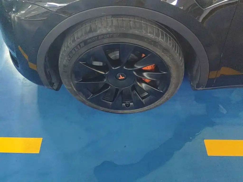 Tesla Model Y — фото 23