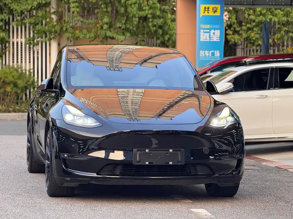 Tesla Model Y — фото 2