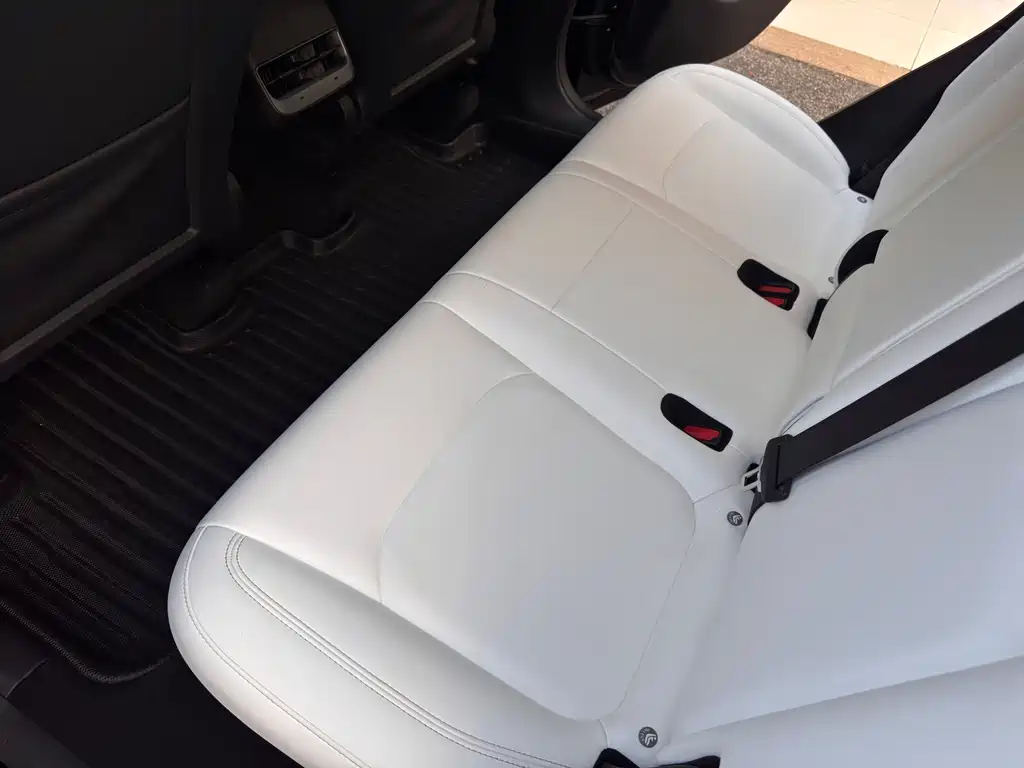 Tesla Model Y — фото 19