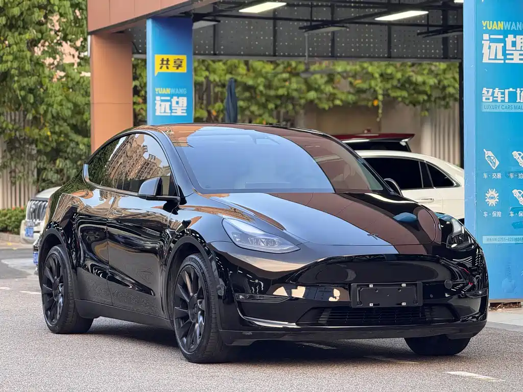 Tesla Model Y — фото 3