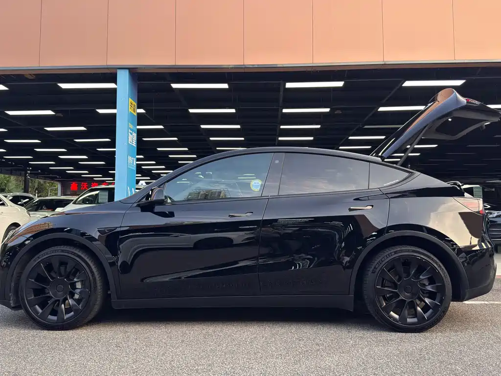 Tesla Model Y — фото 4