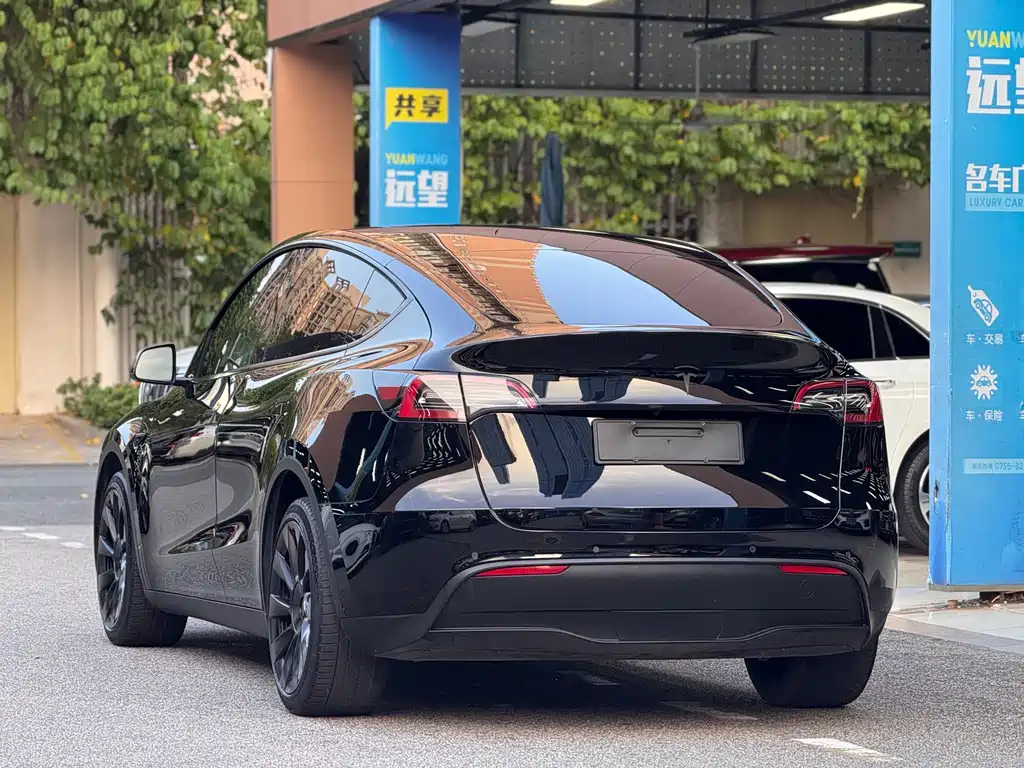 Tesla Model Y — фото 5