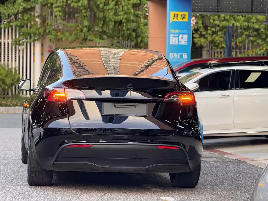Tesla Model Y — фото 6