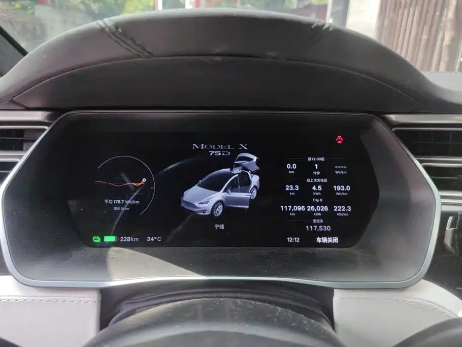 Tesla Model X — фото 14
