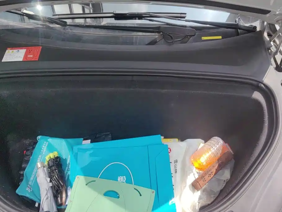 Tesla Model X — фото 10