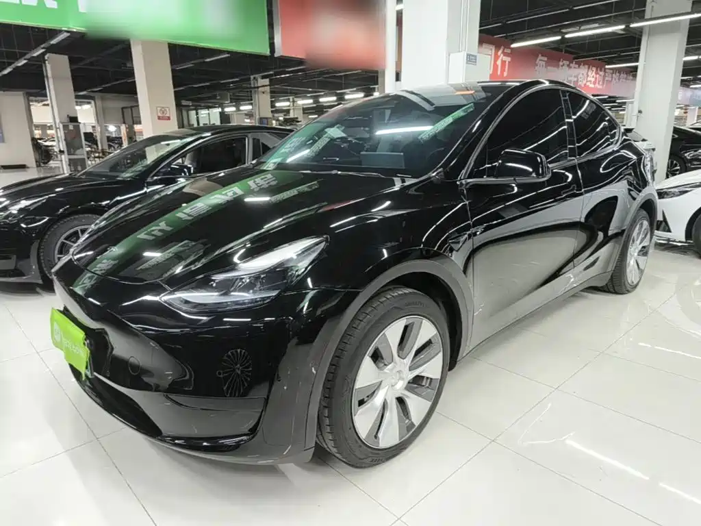 Tesla Model Y — фото 2