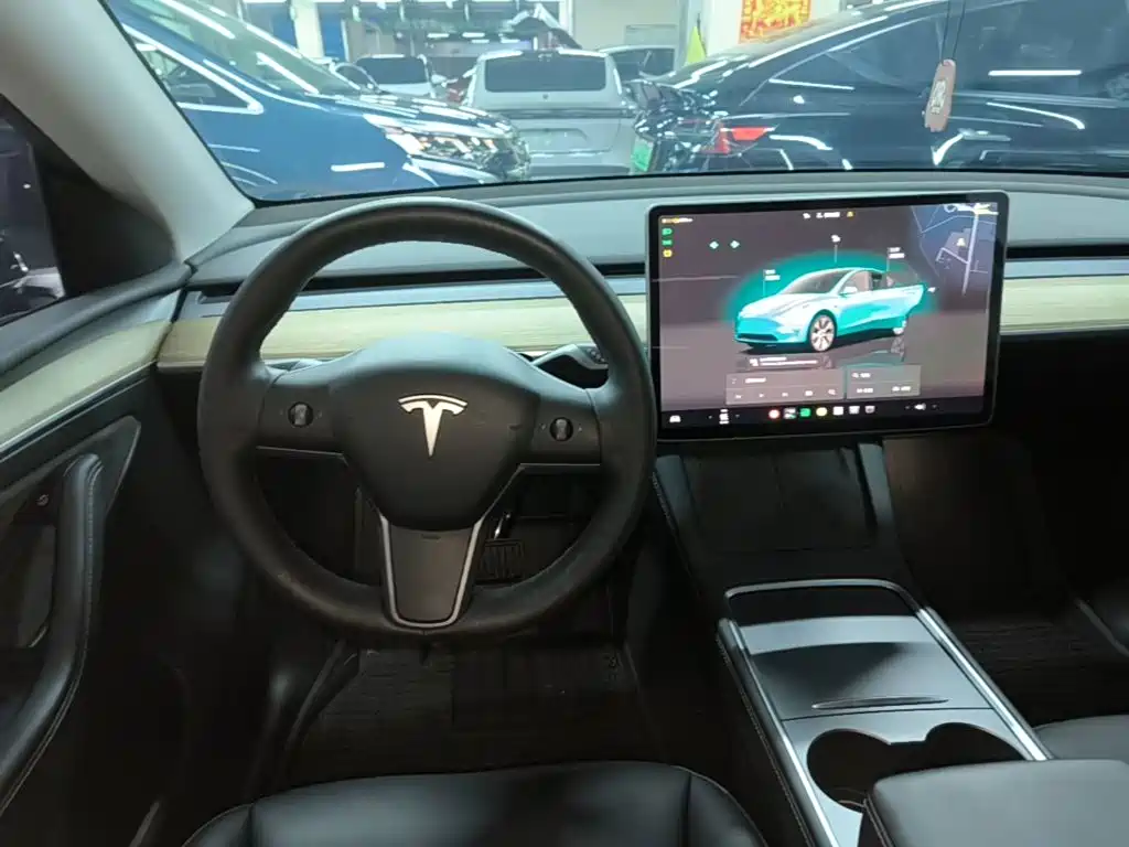 Tesla Model Y — фото 11