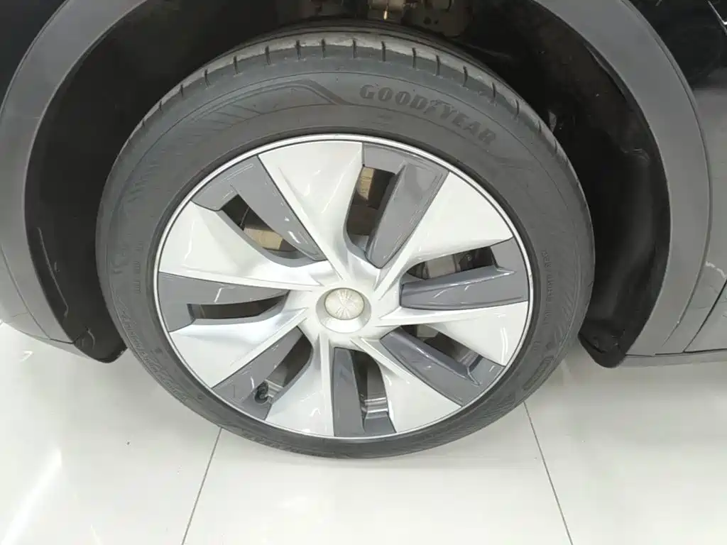 Tesla Model Y — фото 23