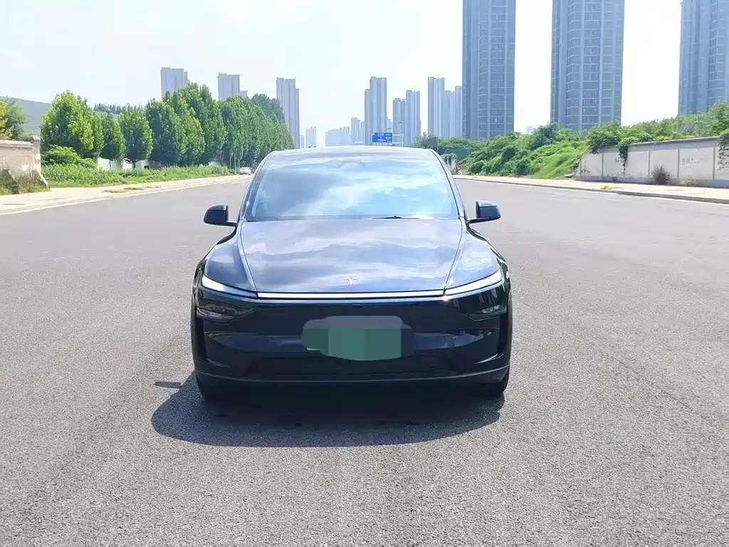 Tesla Model Y — фото 2