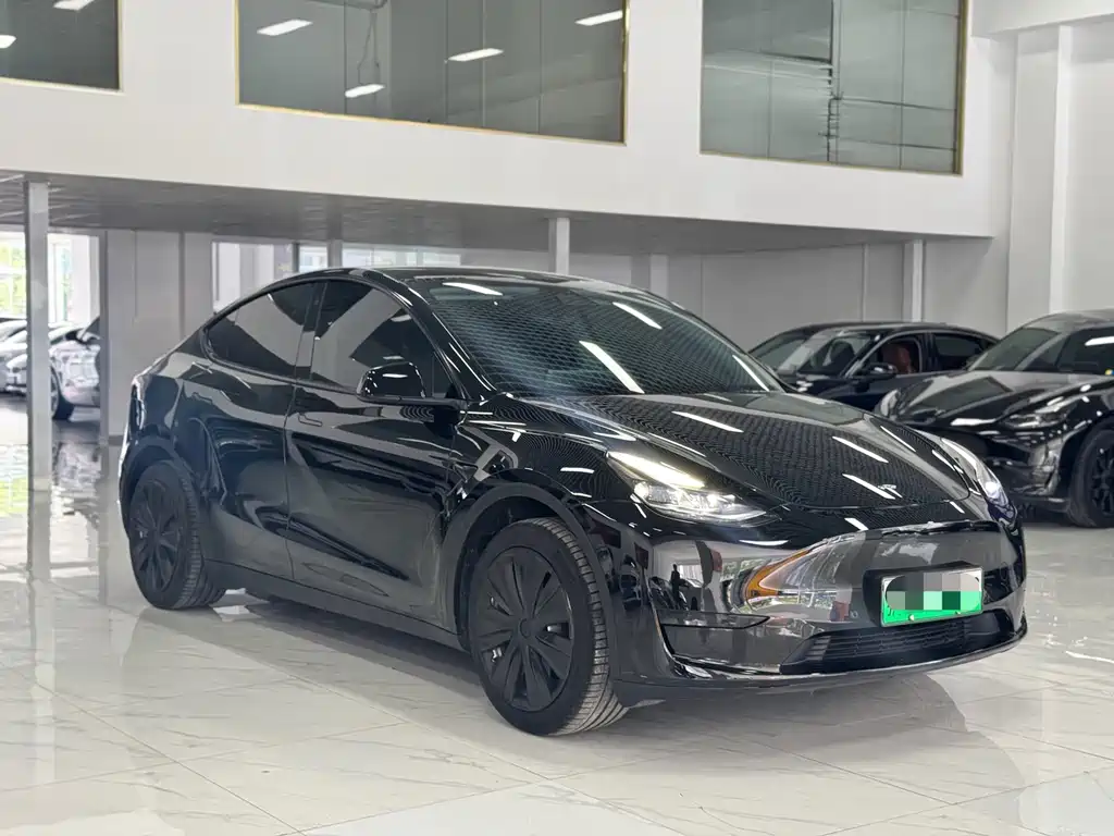 Tesla Model Y — фото 3