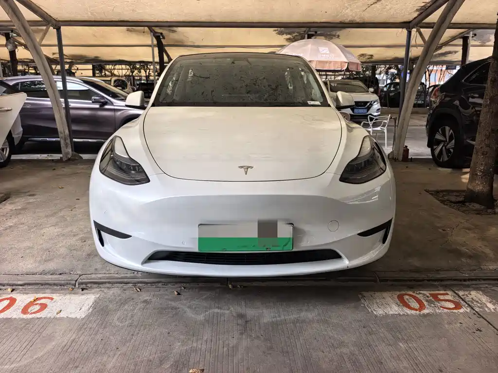 Tesla Model Y — фото 2