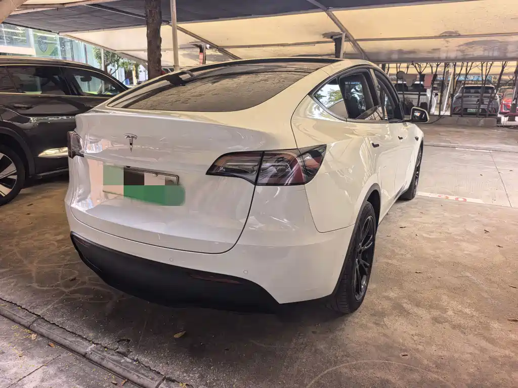 Tesla Model Y — фото 18