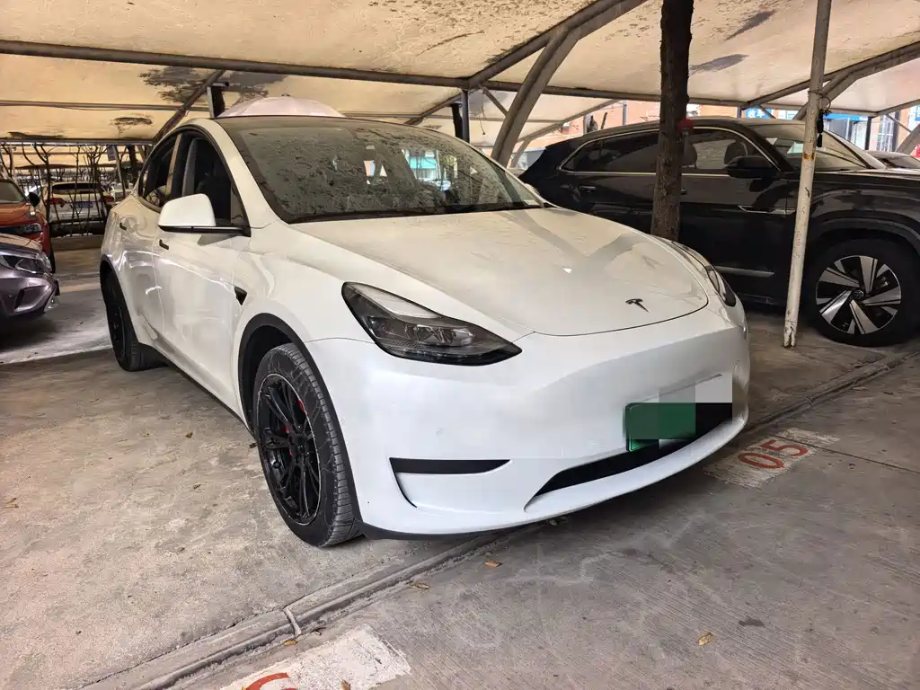 Tesla Model Y — фото 3