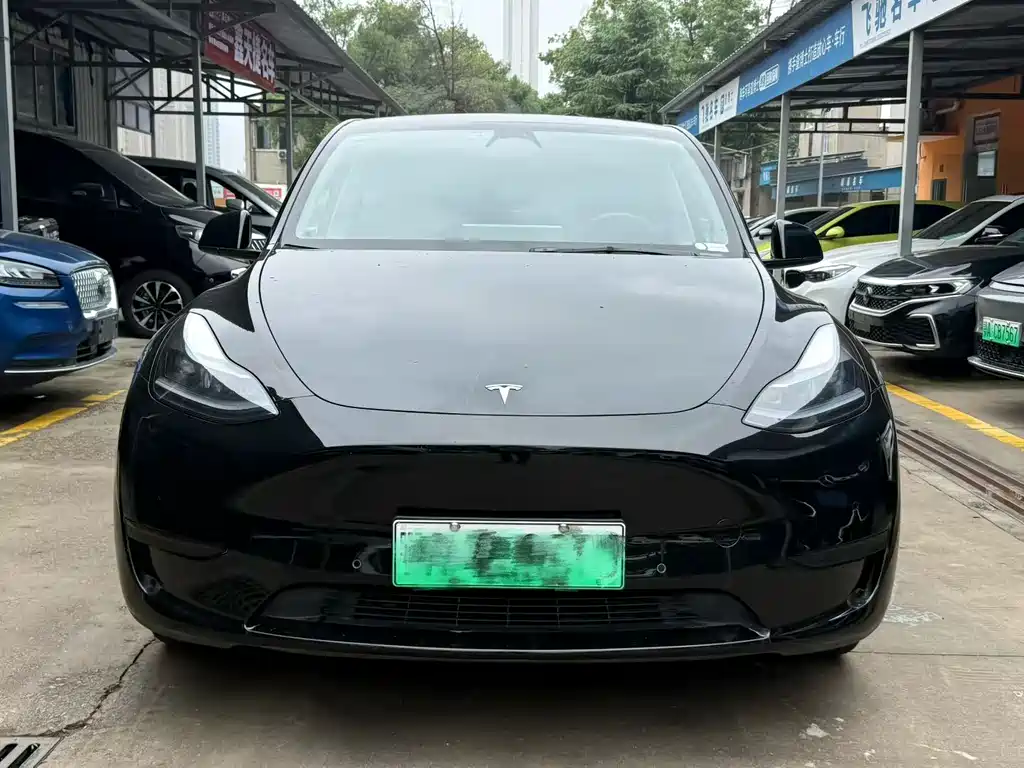 Tesla Model Y — фото 2