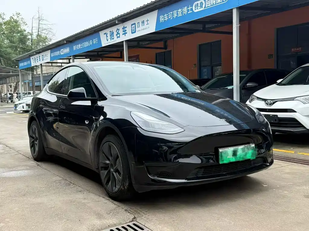 Tesla Model Y — фото 3