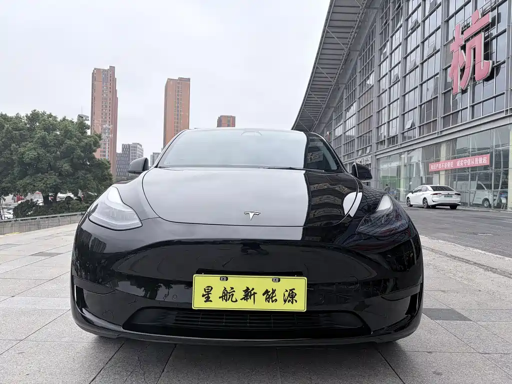 Tesla Model Y — фото 2