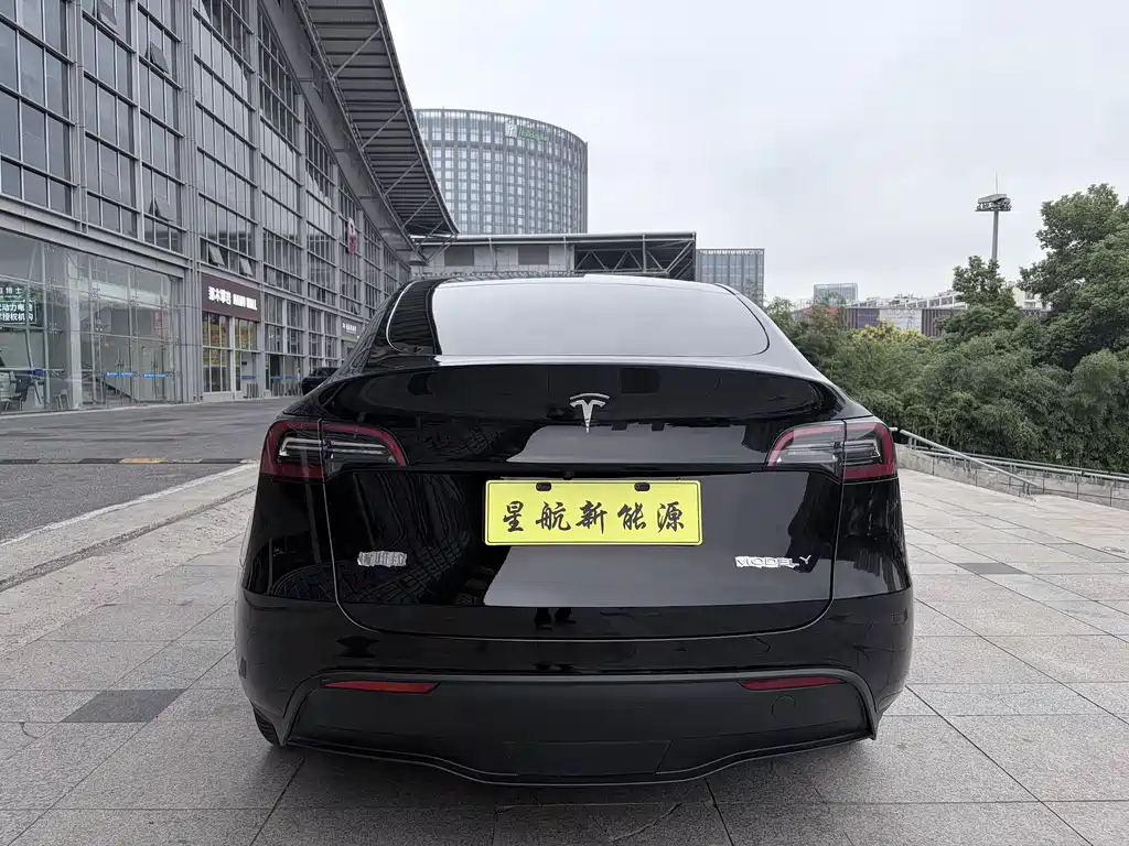 Tesla Model Y — фото 5