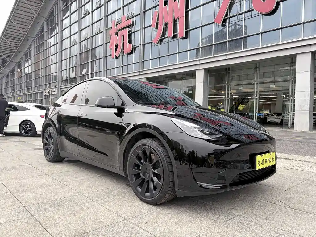 Tesla Model Y — фото 6