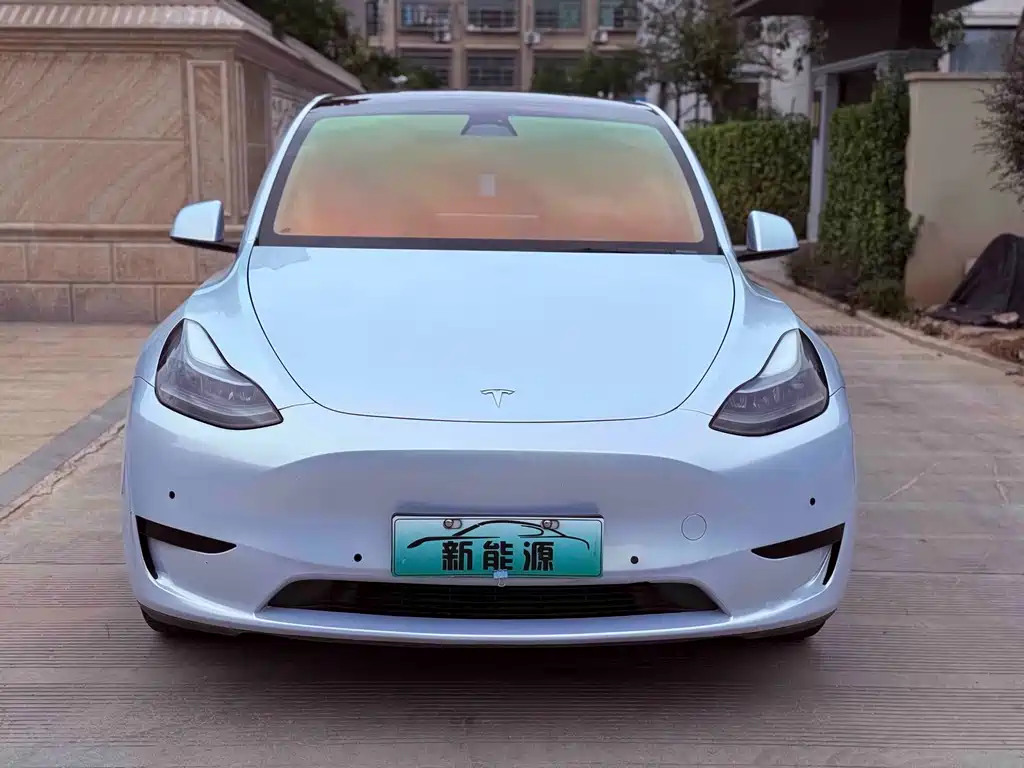 Tesla Model Y — фото 2