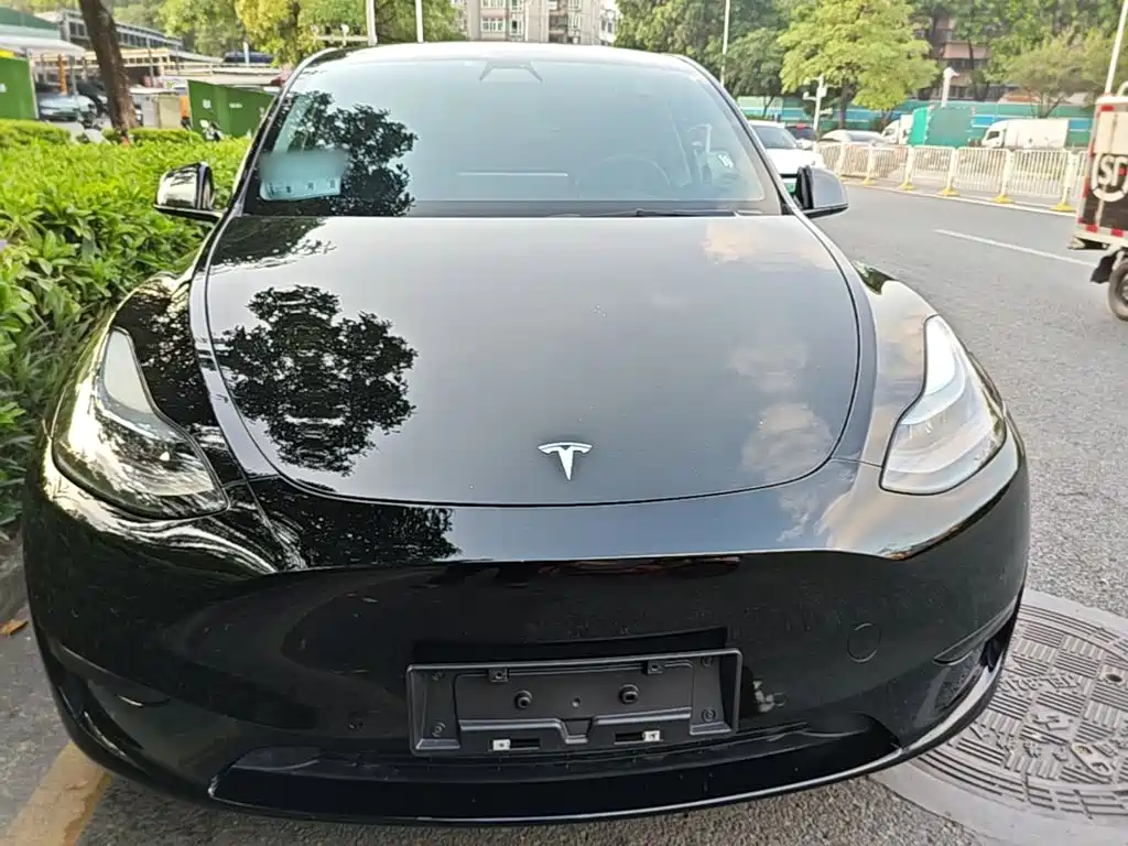 Tesla Model Y — фото 3