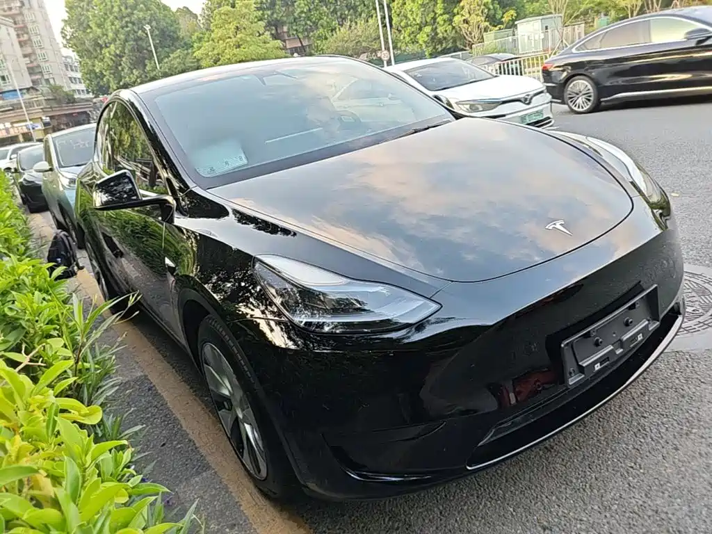 Tesla Model Y — фото 4