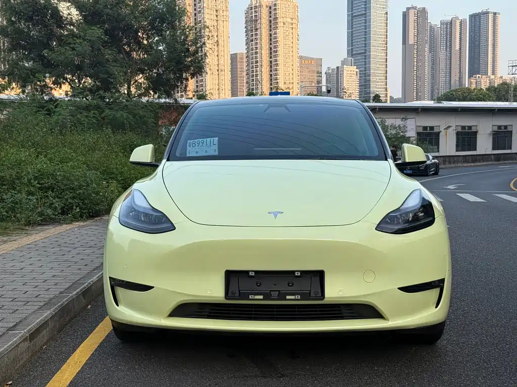 Tesla Model Y — фото 2
