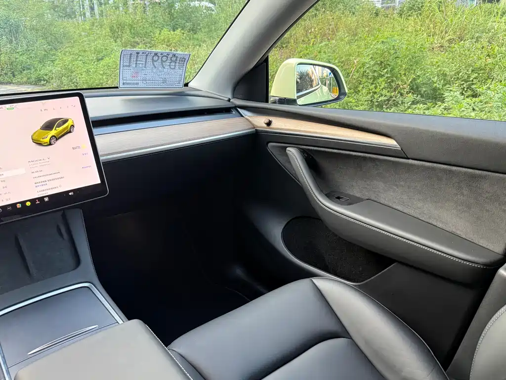 Tesla Model Y — фото 11