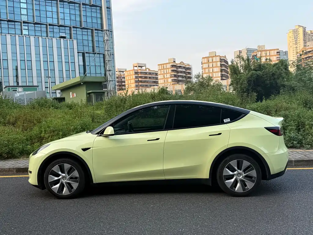 Tesla Model Y — фото 14