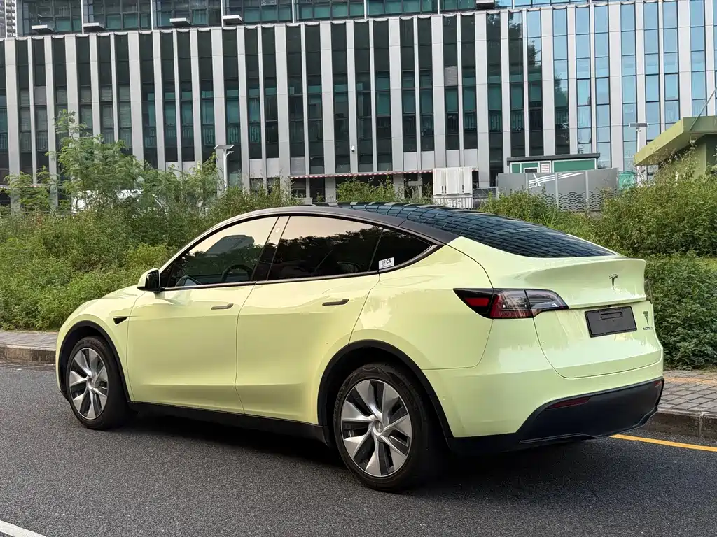 Tesla Model Y — фото 15