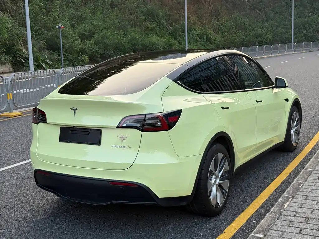 Tesla Model Y — фото 17