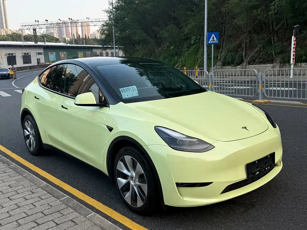 Tesla Model Y — фото 3