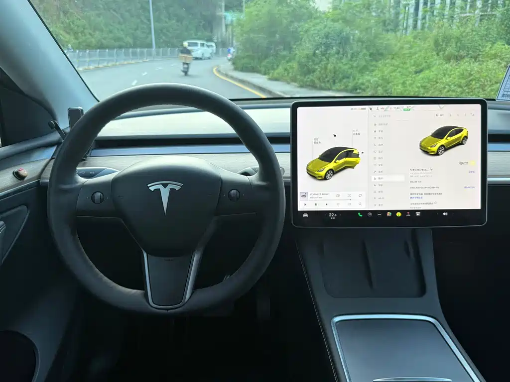 Tesla Model Y — фото 10