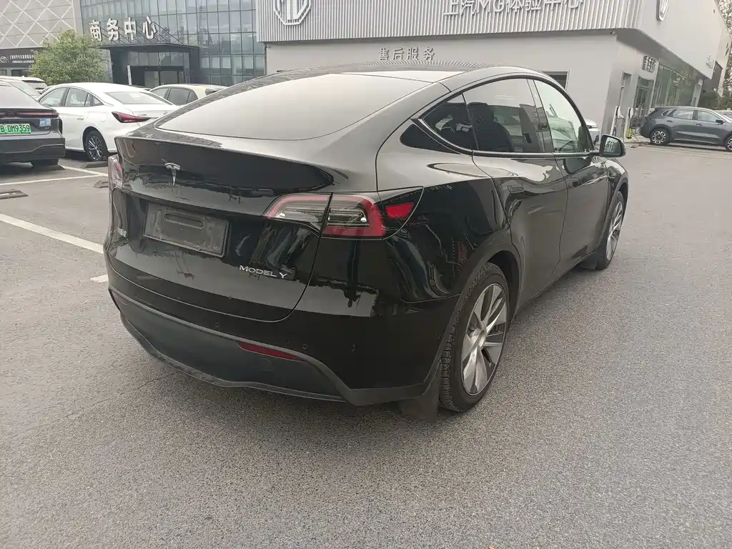 Tesla Model Y — фото 11