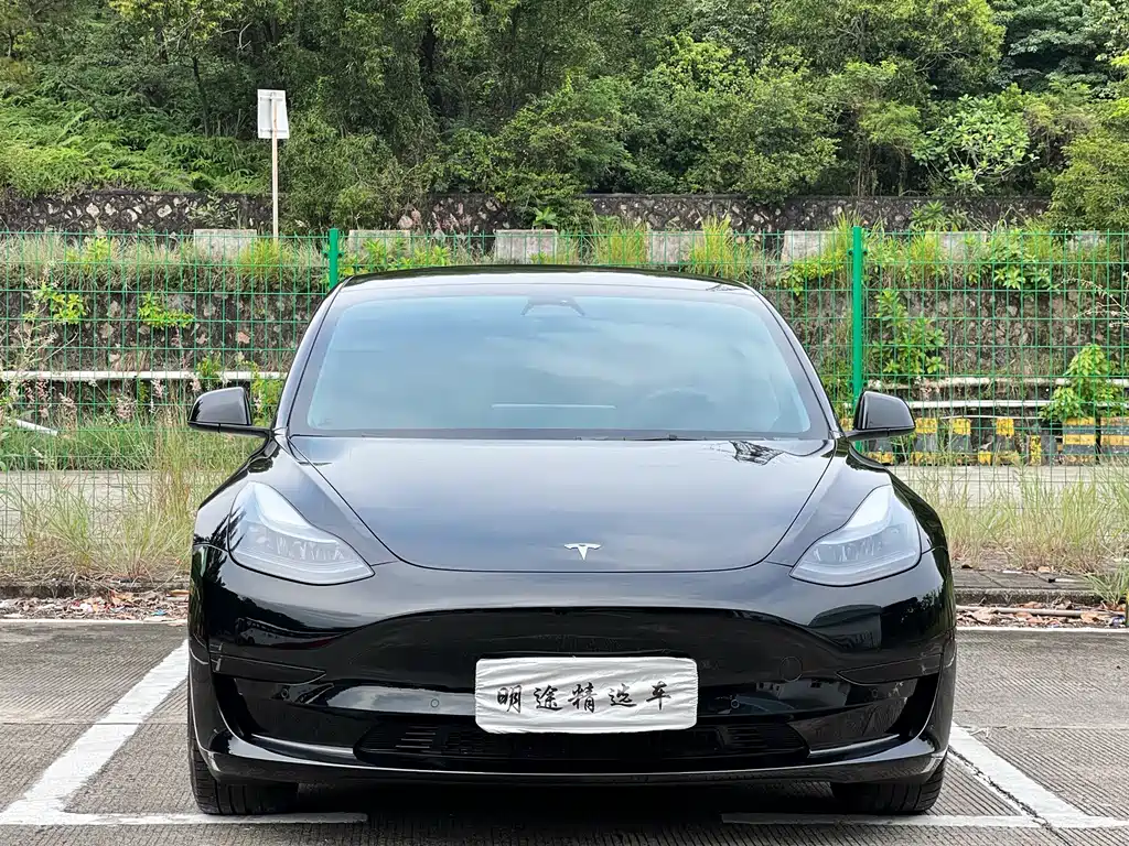 Tesla Model 3 — фото 2