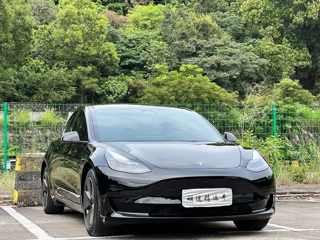 Tesla Model 3 — фото 3