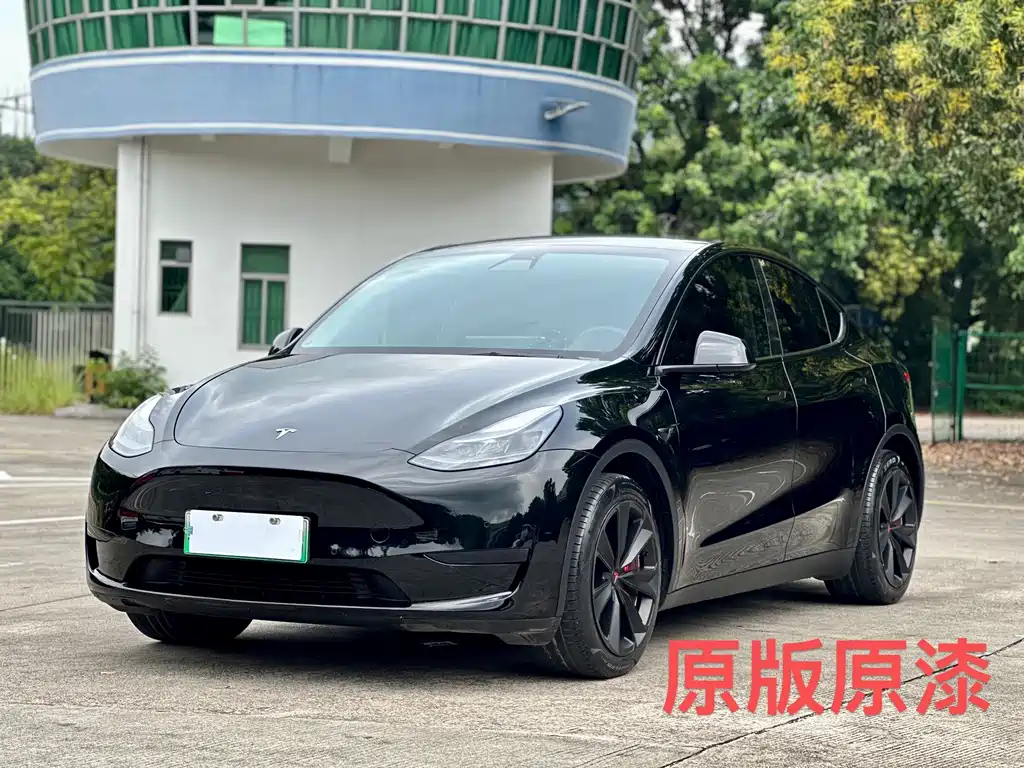 Tesla Model Y — фото 2