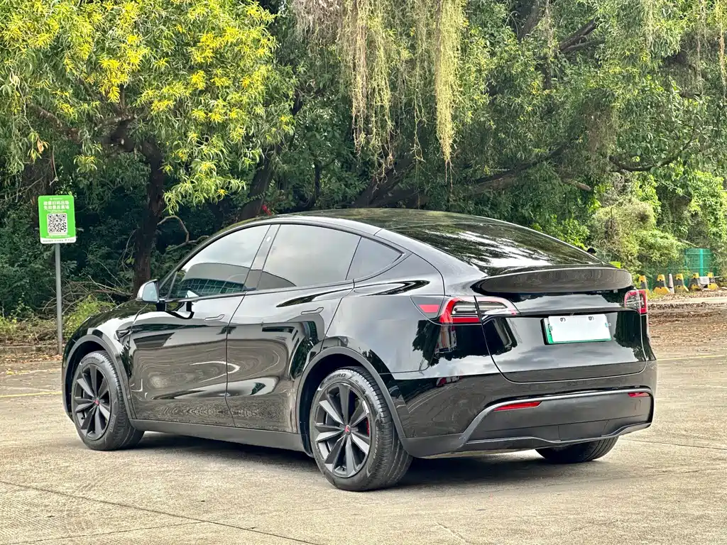 Tesla Model Y — фото 13