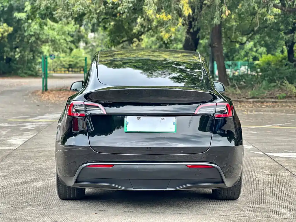 Tesla Model Y — фото 15