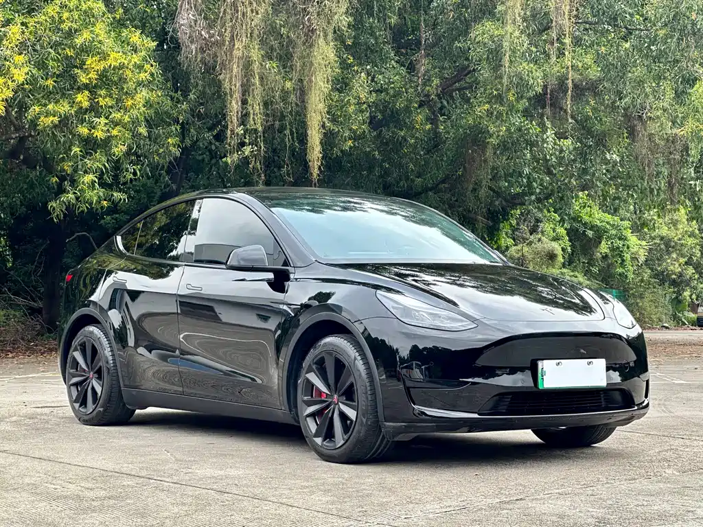 Tesla Model Y — фото 3