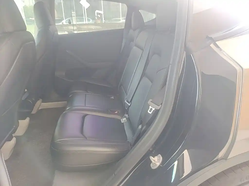 Tesla Model Y — фото 13