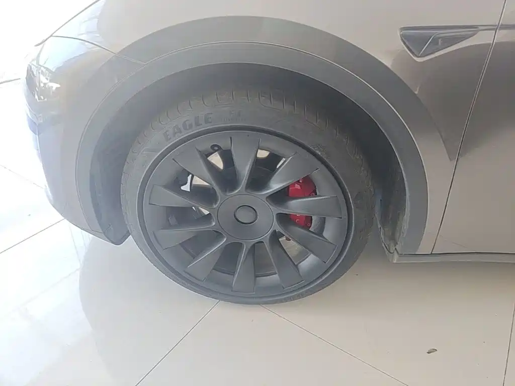 Tesla Model Y — фото 25
